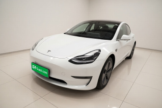特斯拉 Model 3 2020款 改款 标准续航后驱升级版