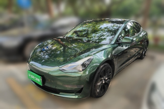 特斯拉 Model 3 2020款 改款 长续航后轮驱动版