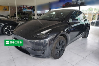 特斯拉 Model Y 2024款 后轮驱动版