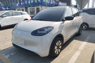 五菱汽车 五菱缤果 2024款 333km 悦享款