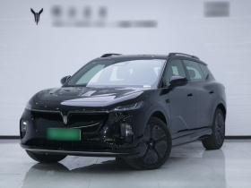 岚图汽车 岚图知音 2024款 四驱全球版