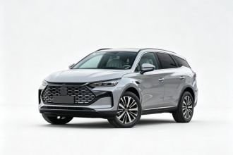 比亚迪 唐新能源 2025款 智驾版 DM-i 175KM 尊贵型