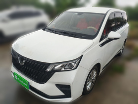 五菱汽车 五菱佳辰 2022款 1.5L 手动乐享精英型