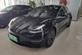 特斯拉 Model 3 2020款 改款 长续航后轮驱动版