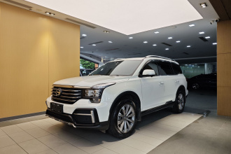 广汽传祺 传祺GS8 2020款 390T 两驱豪华智联版（七座）