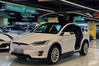 特斯拉 Model X 2019款 Performance 高性能版