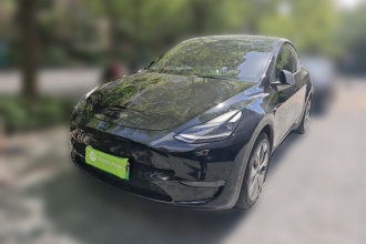 特斯拉 Model Y 2021款 标准续航后驱版