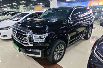 坦克500新能源 2024款 Hi4-T