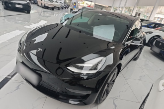 特斯拉 Model 3(进口) 2019款 长续航后驱版