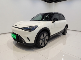 smart精灵#1 2022款 Premium版