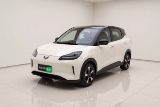 五菱汽车 五菱缤果PLUS 2024款 401km 五座版