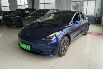 特斯拉 Model 3 2019款 标准续航后驱升级版