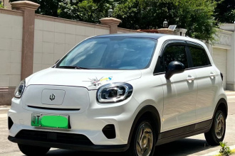 零跑汽车 零跑T03 2024款 200轻享版