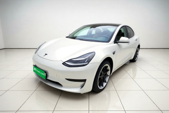 特斯拉 Model 3 2019款 标准续航后驱升级版