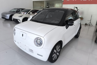 欧拉黑猫 2021款 351km 标准型