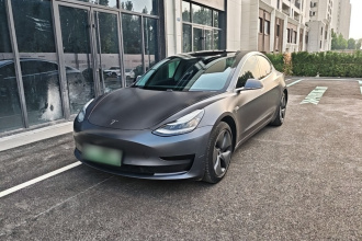 特斯拉 Model 3 2020款 改款 标准续航后驱升级版
