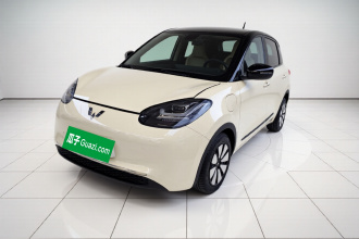 五菱汽车 五菱缤果 2023款 333km 灵犀互联+款