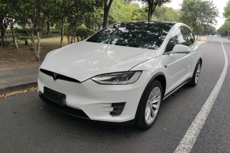 特斯拉 Model X 2019款 Performance 高性能版