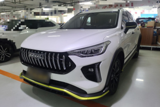 哈弗赤兔 2021款 激擎版 1.5T 黄金兔