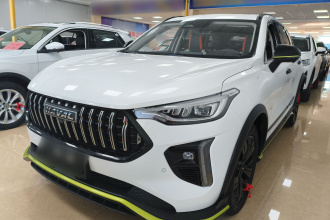 哈弗赤兔 2021款 激擎版 1.5T 黄金兔