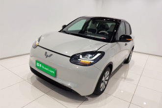 五菱汽车 五菱缤果 2024款 333km 灵犀互联款