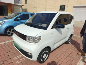 五菱汽车 宏光MINIEV 2020款 轻松款 磷酸铁锂