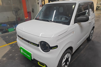 吉利银河 2025款 熊猫mini 210km 元气熊