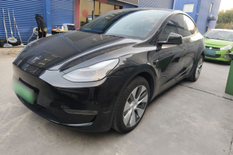 特斯拉 Model Y 2021款 长续航全轮驱动版 3D7