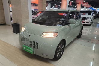 欧拉白猫 2020款 305km 豪华型