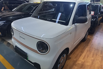 吉利银河 2023款 熊猫mini 200km 耐力熊