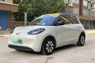 五菱汽车 五菱缤果 2023款 333km 灵犀互联款