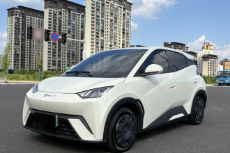 比亚迪 海鸥 2025款 305km 活力版