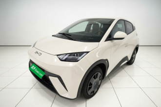 比亚迪 海鸥 2024款 荣耀版 305km 活力版