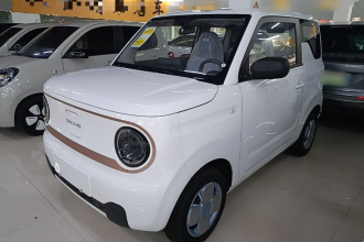 吉利银河 2024款 熊猫mini 200km 耐力熊