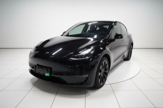 特斯拉 Model Y 2021款 标准续航后驱版