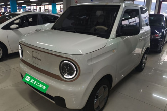 吉利银河 2024款 熊猫mini 200km 耐力熊