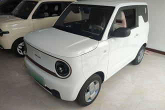 吉利银河 2024款 熊猫mini 200km 耐力熊