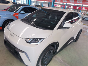 比亚迪 海鸥 2025款 305km 活力版