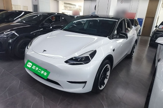 特斯拉 Model Y 2024款 后轮驱动版