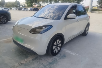 五菱汽车 五菱缤果 2023款 203km 舒享款