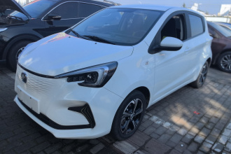 长安 奔奔E-Star 2022款 清心版 多彩款 三元锂