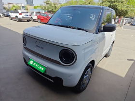 吉利银河 2023款 熊猫mini 200km 耐力熊