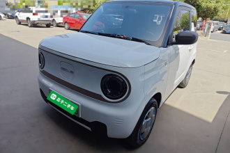 吉利银河 2023款 熊猫mini 200km 耐力熊