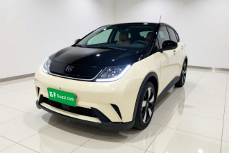 比亚迪 海豚 2023款 401km 骑士版