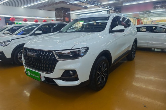 哈弗H6 2023款 国潮版 1.5T 自动都市版