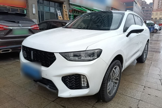 魏牌 VV5 2019款 升级款 2.0T 两驱超豪型 国V