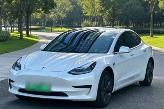 特斯拉 Model 3(进口) 2019款 标准续航后驱升级版