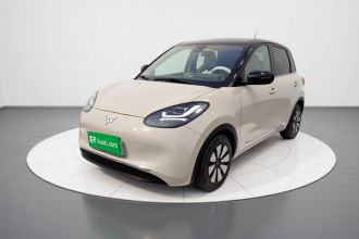 五菱汽车 五菱缤果 2023款 203km 舒享款