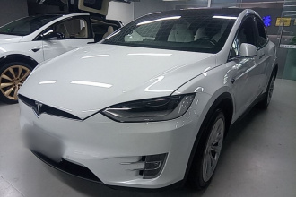 特斯拉 Model X 2019款 Performance 高性能版