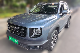 哈弗大狗 2021款 1.5T DCT两驱边牧版